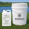 Alligare 2,4 D 1 gallon beside a 5-gallon bucket for size reference