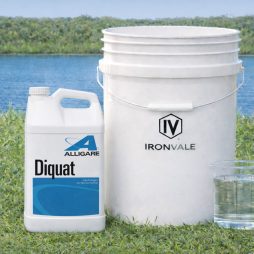 Alligae Diquat Gallon next to 5 gallon Ironvale container to visualize size of package.