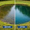 Before and after split view of small round pond treated with Aquashade showing natural blue green water tint versus untreated algae water.