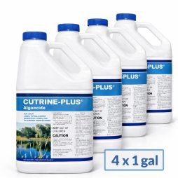 Four 1-gallon Cutrine Plus liquid algaecide bottles shown in a 4-pack product image.