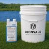 Ecomazapyr 2 SL 32 oz jug next to a 5-gallon bucket for size reference.