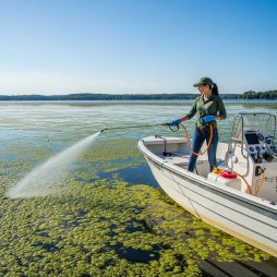 Professional female applicator sprays liquid aquatic treatment to lake water with boat mounted Ironvale sprayer.