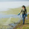 Female professional applicator wearing long sleeves and blue nitrile gloves spraying aquatic product into pond along shoreline with handheld pump sprayer.