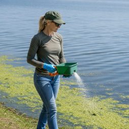 Female professional applicator wearing long sleeves and gloves applying white granular aquatic product into pond along shoreline with handheld spreader.