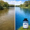 Left and tight split screen image showing the water color changes after applying MAKO Bahamas Blue aquatic dye.