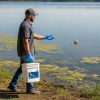Male professional applicator wearing long sleeves and gloves tosses NT-MAX Clarifier + Sludge and Muck Digester on to pond along shoreline.