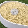 Navigate granular herbicide blue granules in a scoop, 2–6 mm particle size