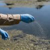 Hand applying aquatic granules over a treatment area