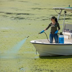 Professional female applicator applies lake treatment to water with boat mounted Ironvale sprayer.